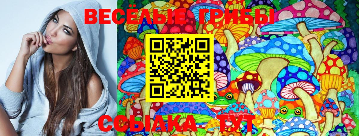 Галлюциногенные грибы Cubensis Обнинск
